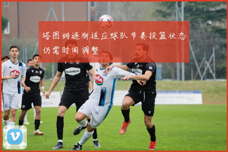 塔图姆逐渐适应球队节奏投篮状态仍需时间调整