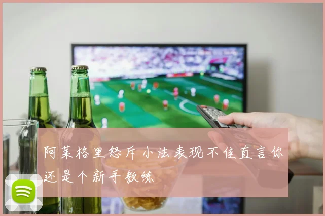 阿莱格里怒斥小法表现不佳直言你还是个新手教练