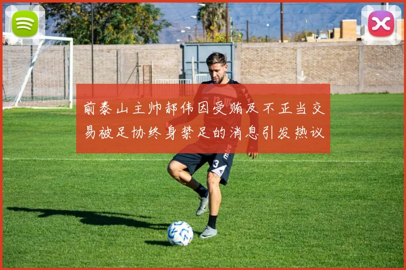 前泰山主帅郝伟因受贿及不正当交易被足协终身禁足的消息引发热议