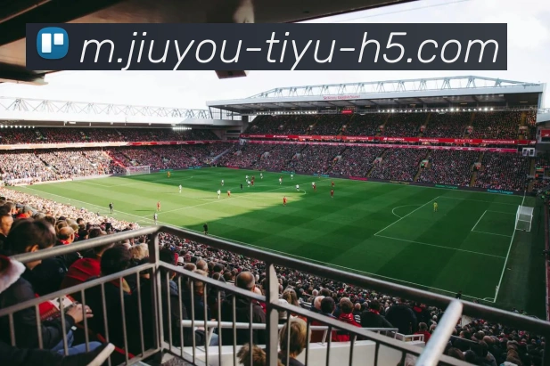 九游娱乐平台生态图